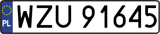 WZU91645