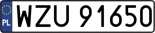 WZU91650