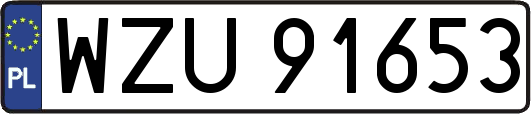 WZU91653