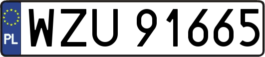 WZU91665