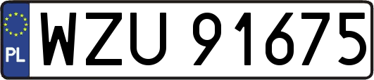WZU91675