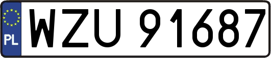 WZU91687
