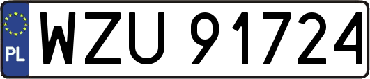 WZU91724