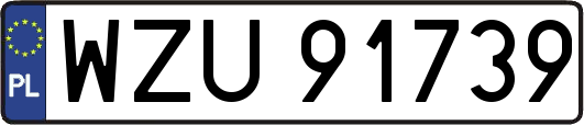 WZU91739
