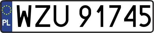 WZU91745