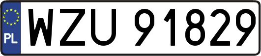 WZU91829