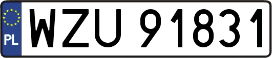 WZU91831