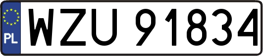 WZU91834