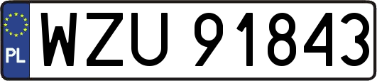 WZU91843