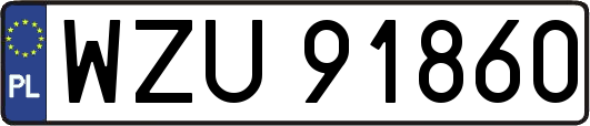 WZU91860