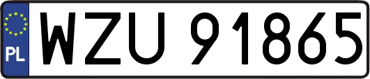 WZU91865