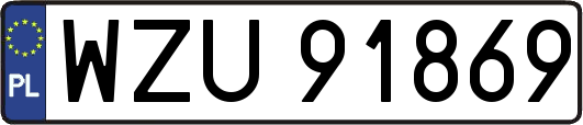 WZU91869
