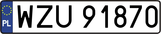 WZU91870