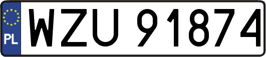 WZU91874