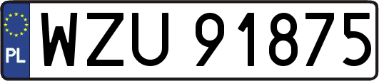 WZU91875