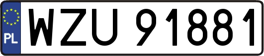 WZU91881