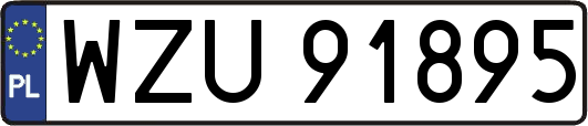 WZU91895