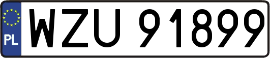 WZU91899