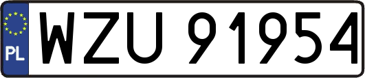 WZU91954