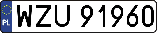 WZU91960