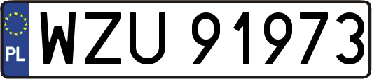 WZU91973
