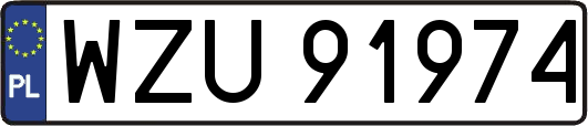 WZU91974