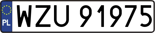 WZU91975