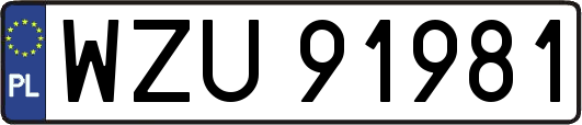 WZU91981
