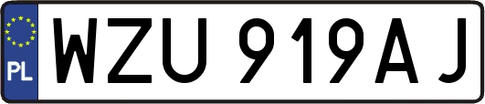 WZU919AJ