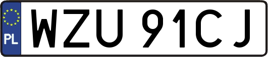 WZU91CJ