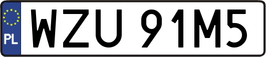 WZU91M5