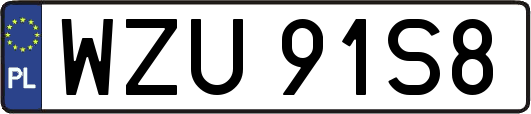 WZU91S8