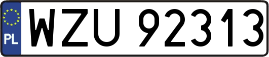 WZU92313