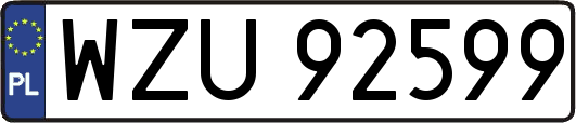 WZU92599