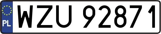 WZU92871