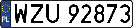 WZU92873