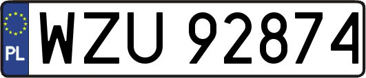 WZU92874