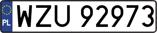 WZU92973