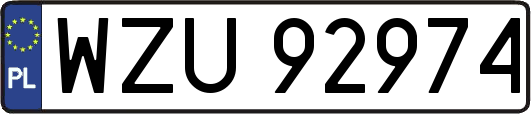 WZU92974