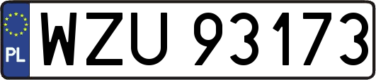 WZU93173