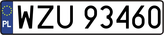 WZU93460