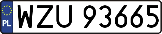 WZU93665