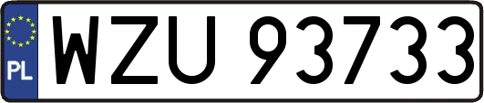 WZU93733