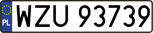 WZU93739