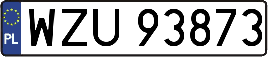 WZU93873