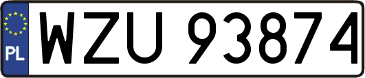 WZU93874