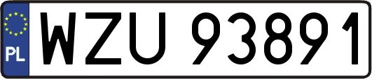 WZU93891
