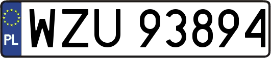 WZU93894