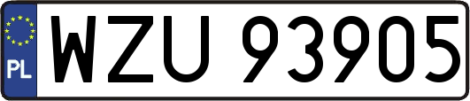WZU93905