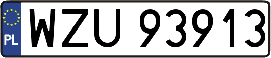 WZU93913